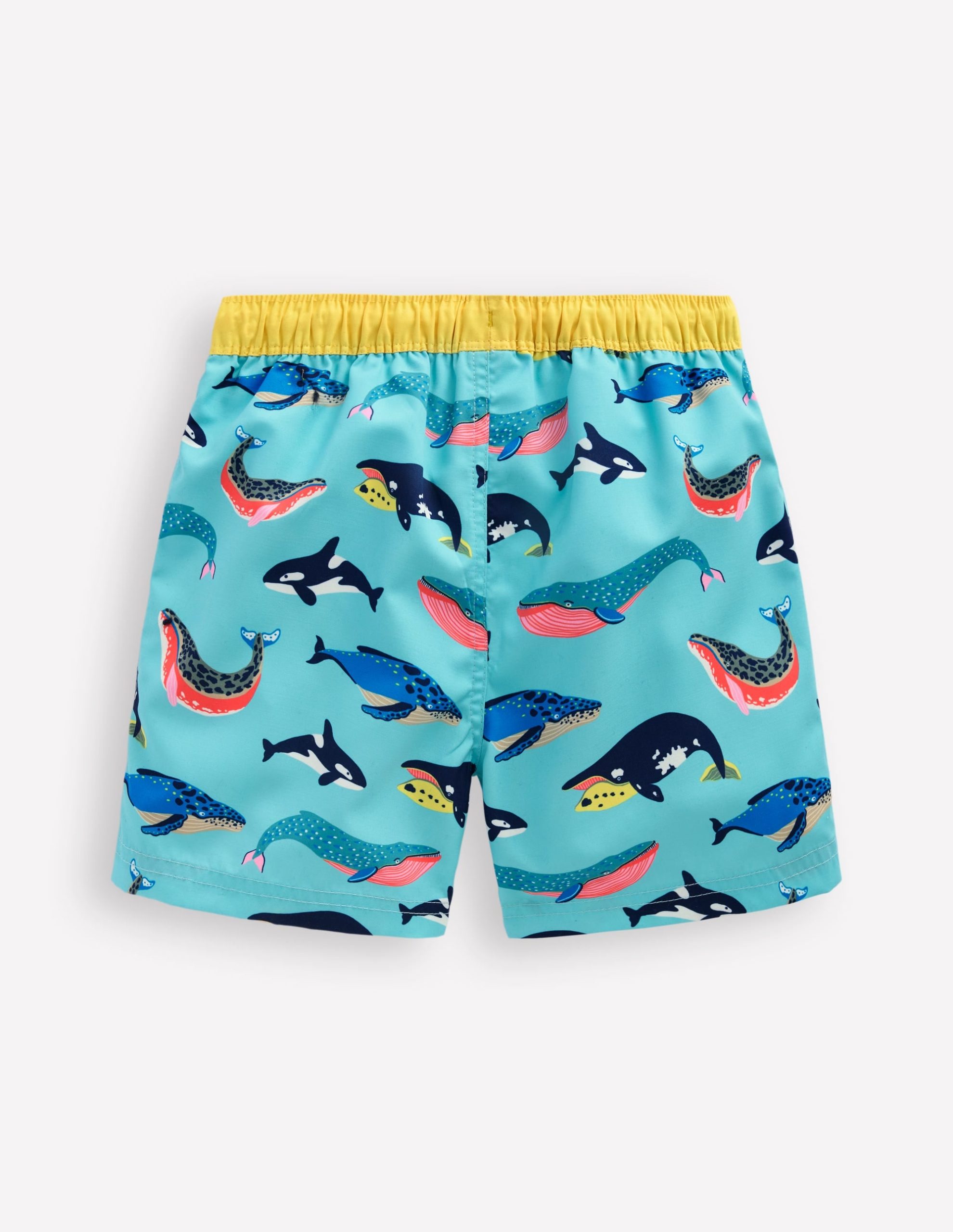 Swim Shorts-Swimming Whales - Image 2
