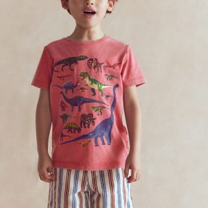 Educational T-shirt-Red Dino