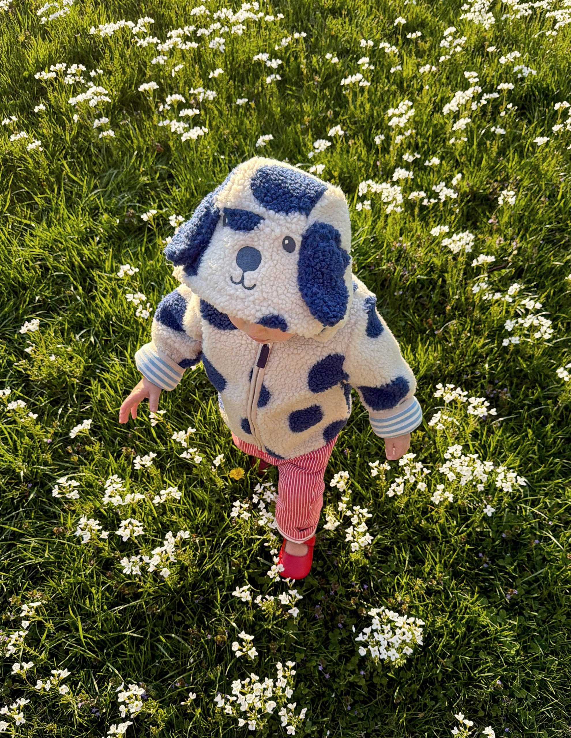 Novelty Cosy Borg Jacket-Navy & Ivory Dog - Image 5